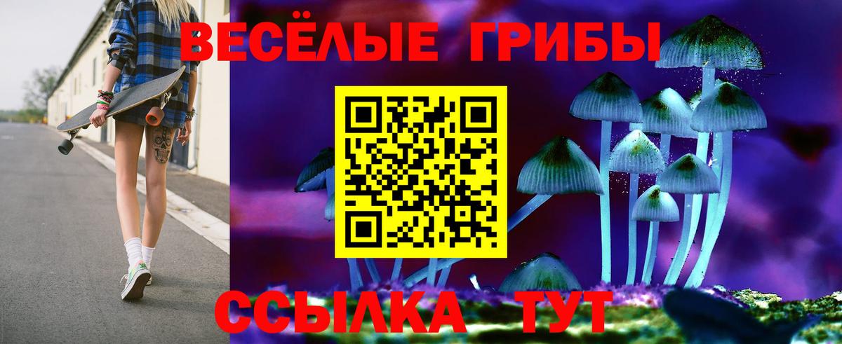 Псилоцибиновые грибы Cubensis Иваново